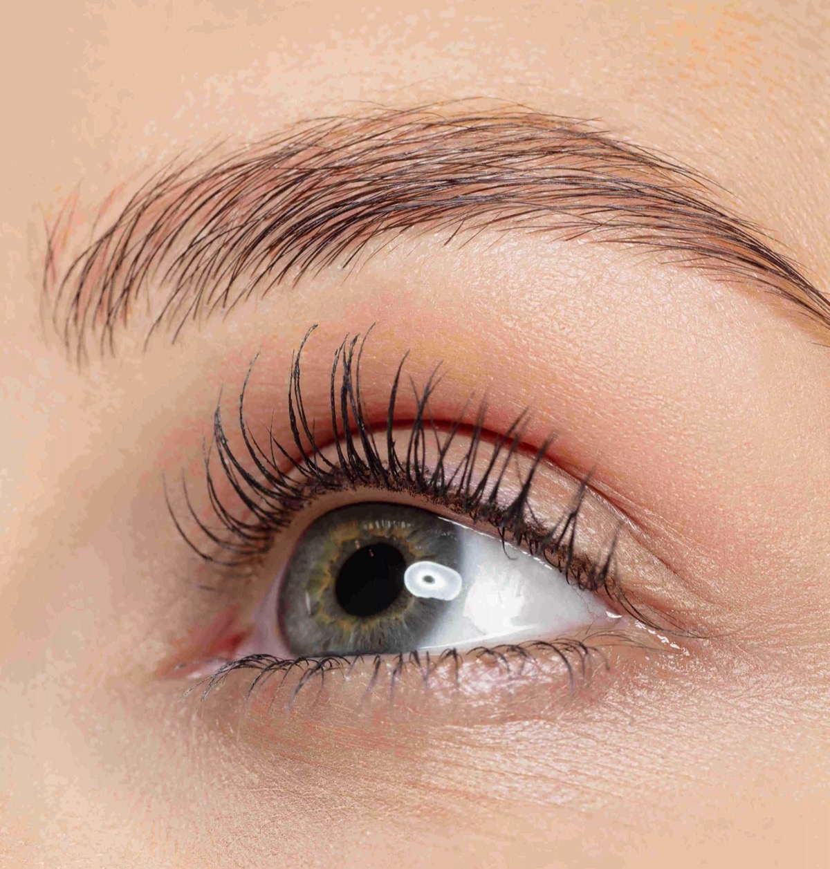 LIFTING (EYEBROWS-EYELASHES)